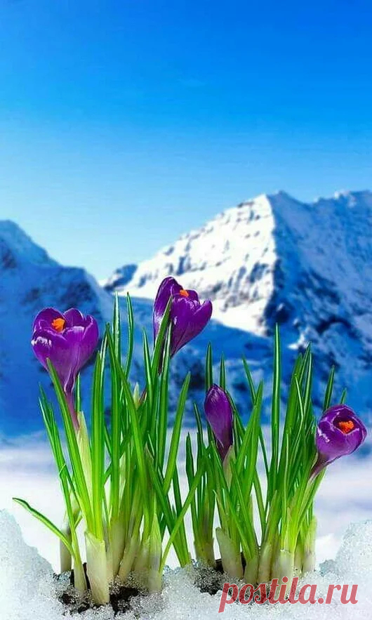 Google+