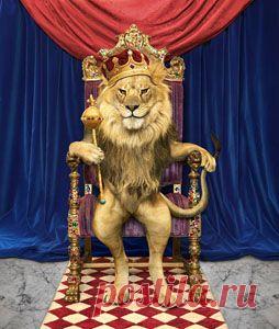 Править государством в одиночку не под силу никому. Поэтому в любой стране существует властная элита. И именно она должна подавать всем гражданам пример достойного поведения и быть опорой правителя. О том, что происходит, когда власть попадает не в те руки, и элитой становятся не лучшие, а худшие, расскажет вам эта поучительная басня в стихах.