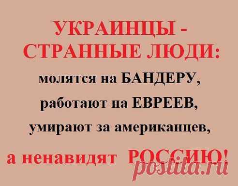 АНТИМАЙДАН: ВМЕСТЕ ПОБЕДИМ!
как то так....