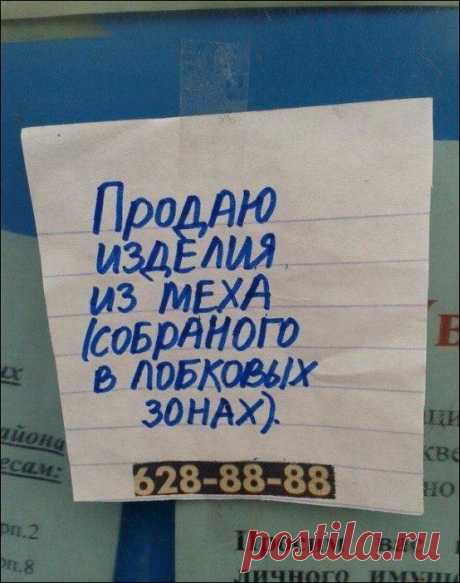 это сколько телок надо ободрать