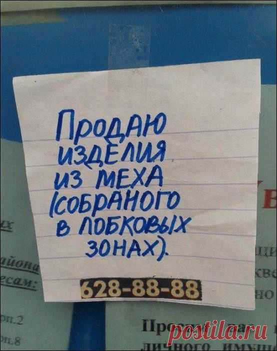 это сколько телок надо ободрать