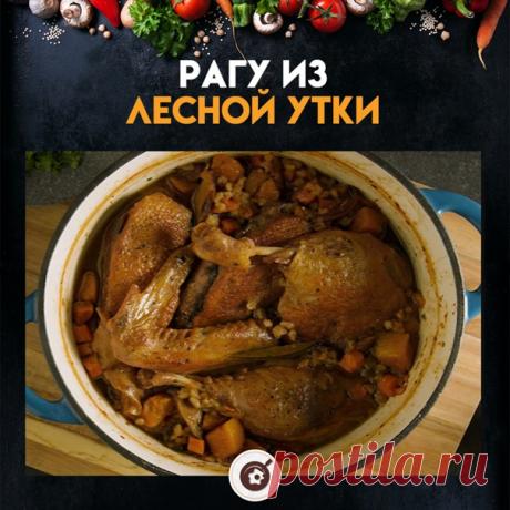 Утка в сочетании с лесными орехами и лесными грибами: они подарят вам такие вкусовые ощущения, которые вы не скоро забудете!

Ингредиенты
2.5 кг утки

1 стакан сушеных лесных грибов на ваш выбор

Соль и перец по вкусу

1 столовая ложка топленого утиного жира

100 гр лука-шалота

2 моркови, нарезанной кубиками

1 стебель сельдерея, нарезанный кубиками

1 ст. л. измельченного чеснока

3 ст. л. универсальной муки

2 стакана красного вина

600 мл телячьего бульона

500 гр тыкв...