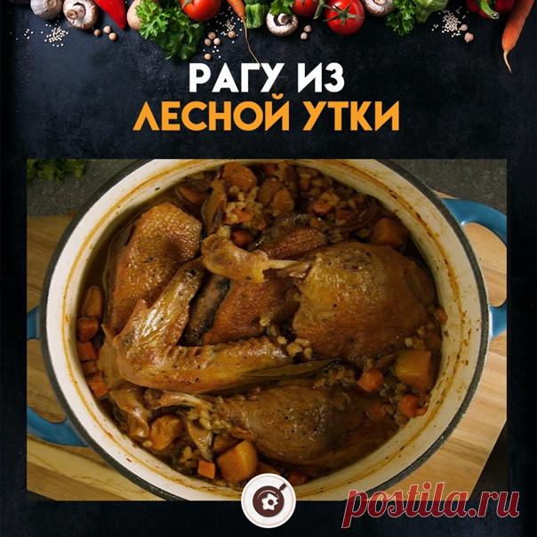 Утка в сочетании с лесными орехами и лесными грибами: они подарят вам такие вкусовые ощущения, которые вы не скоро забудете!

Ингредиенты
2.5 кг утки

1 стакан сушеных лесных грибов на ваш выбор

Соль и перец по вкусу

1 столовая ложка топленого утиного жира

100 гр лука-шалота

2 моркови, нарезанной кубиками

1 стебель сельдерея, нарезанный кубиками

1 ст. л. измельченного чеснока

3 ст. л. универсальной муки

2 стакана красного вина

600 мл телячьего бульона

500 гр тыкв...