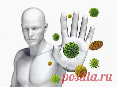 Кратковременное голодание перезапускает иммунную систему и восстанавливает организм