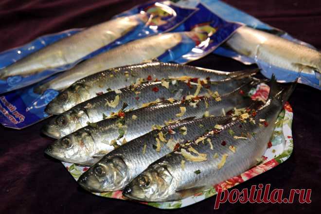 Вкуснейшая иваси в пряном советском посоле  Росрыболовство предрекает возвращение на прилавки легендарной в советское время «сельди иваси», которая на самом деле сардина. Вылов этой крайне дешевой когда-то рыбы, добывавшейся в громадных объема…