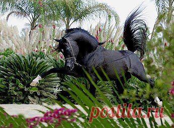 Вот уж я здесь побегаю!