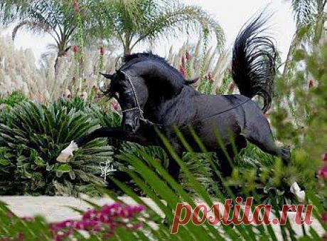 Вот уж я здесь побегаю!