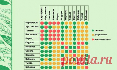 Севооборот в огороде: таблица плодосмена овощных культур
