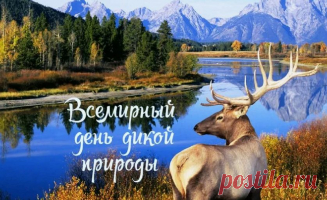 Давайте беречь до скончания века
Природы живой золотые места,
На них не ступала нога человека,
От пыли и шлаков натура чиста.