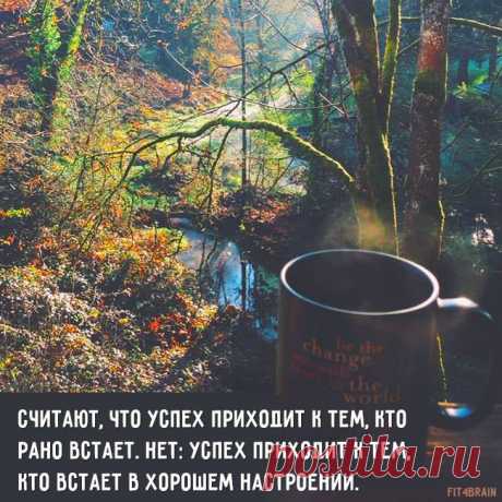 К кому приходит успех?