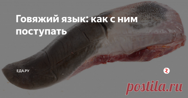 Говяжий язык: как с ним поступать РАССКАЗЫВАЕТ ШЕФ БИСТРО «ФИЛЕ» СЕРГЕЙ ВОЛКОНЕНКОВ
«Мне язык чем нравится — большинство поваров любят работать с премиальными частями. А язык — хоть и деликатес, но все равно относится к субпродуктам. Мне как раз больше по душе мясная альтернатива. Мне нравится делать основные блюда из субпродуктов — не куда-то их добавлять, а дать им главную роль. Ведь тот же язык: он очень жирный — и очень вкусны