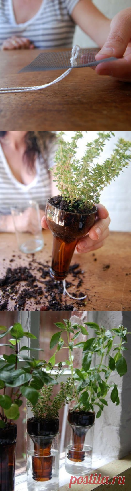 Бутылочный сад. Интересная идея.