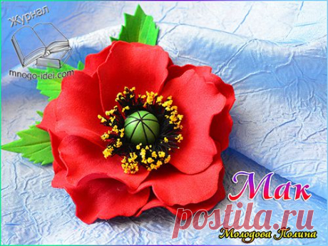 Мак из фоамирана (фома) мастер класс | Цветы своими руками