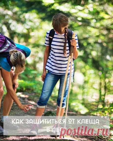 КАК ЗАЩИТИТЬСЯ ОТ КЛЕЩА В ЛЕСУ — Домашние заботы