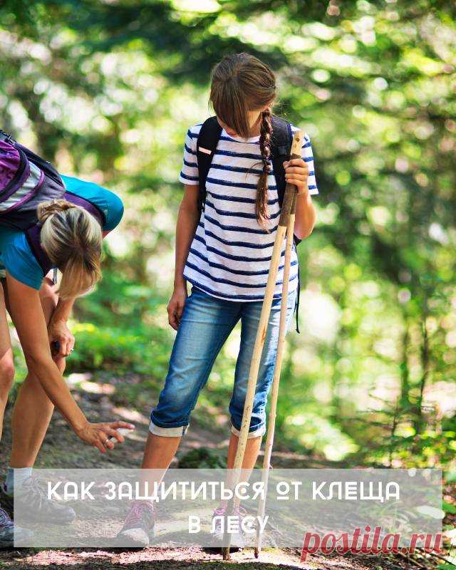 КАК ЗАЩИТИТЬСЯ ОТ КЛЕЩА В ЛЕСУ — Домашние заботы