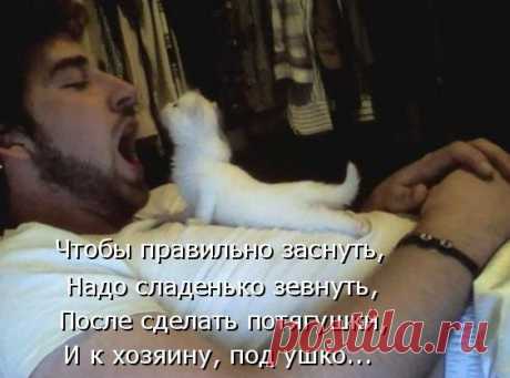Интересные новости
