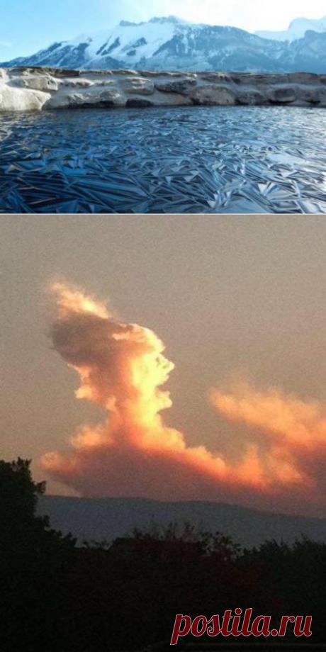 Фотоприколы без перерыва (55 шт)