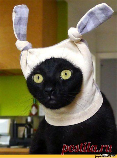 Солянка новое