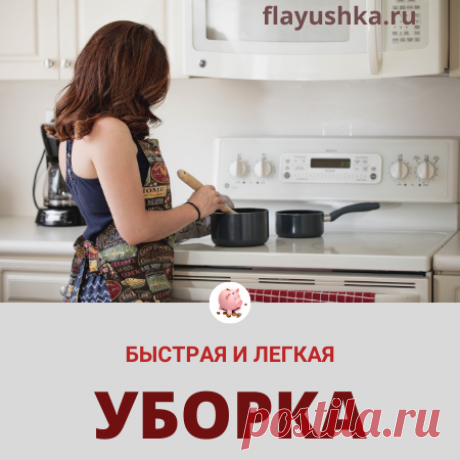 Подготовительный класс Флай-леди: лед тронулся, господа! - Флаюшка Записавшись на курсы по изучению системы FlyLady, веду репортаж...