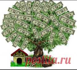 Как ухаживать за цветком, приносящим в дом доход и удачу?.