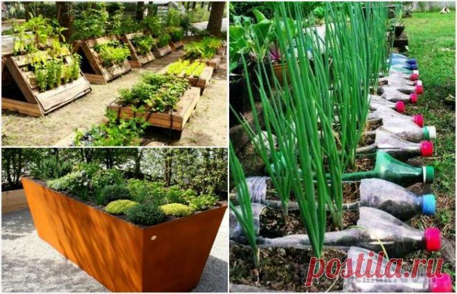 16 идей приподнятых грядок и причины соорудить их в этом году 16 идей приподнятых грядок и причины соорудить их в этом году
Несмотря на то, что одни дачники уже вовсю трудятся на своих грядках, другие еще только думают, как им оптимально распределить ресурсы на ...