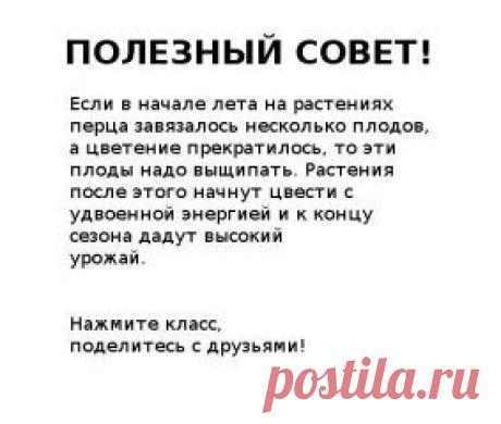 (3) Одноклассники | цветоводство,садоводство