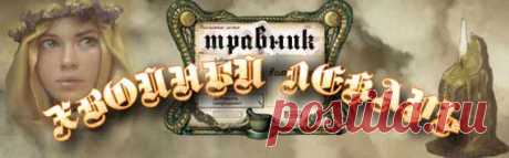 Ишемическая болезнь | Народные средства, лечение ишемии
