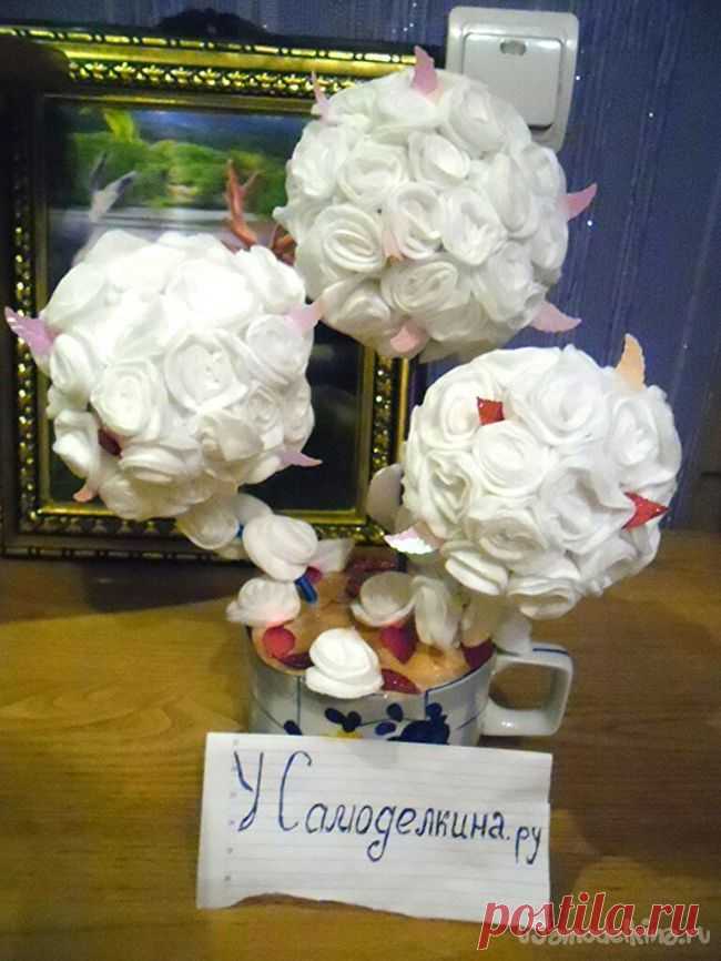 Топиарий «Милый» из ватных дисков