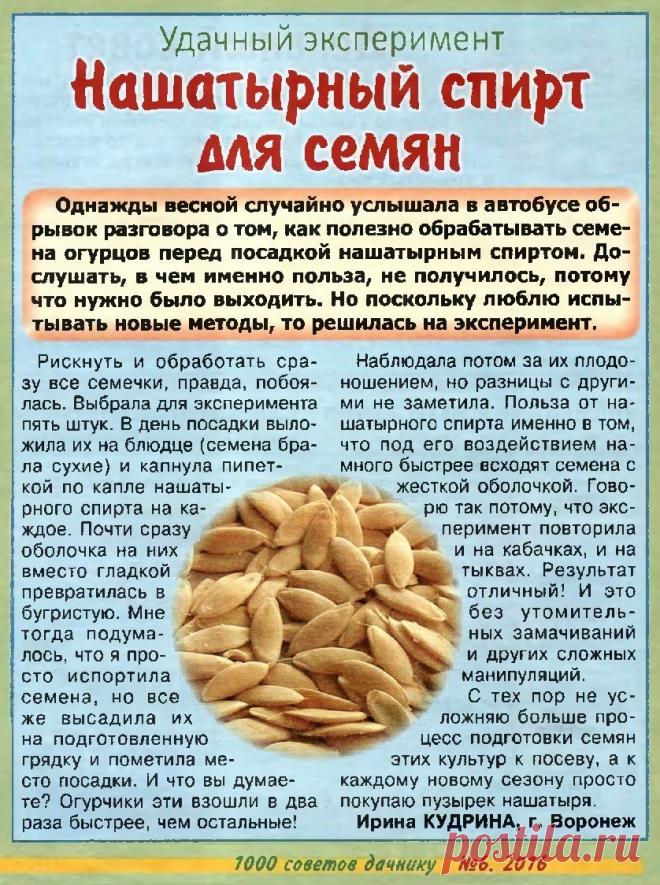 Нашатырный спирт для семян