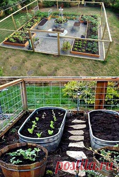 Идеи дизайна клумб и грядок 1. Упорядоченный сад Вместо того, чтобы беспорядочно засадить весь дачный участок овощами, создайте на своей территории опрятный, огражденный огород, с отдельными грядками для выращивания разных культур. Для создания такого огорода потребуются доски, сетка и имеющиеся в наличии деревянные и металлические контейнеры. Вкопанные в землю грядки из досок прекрасно подойдут для выращивания огурцов, помидоров, перца и баклажанов, а металлические и деревянные контейнеры…