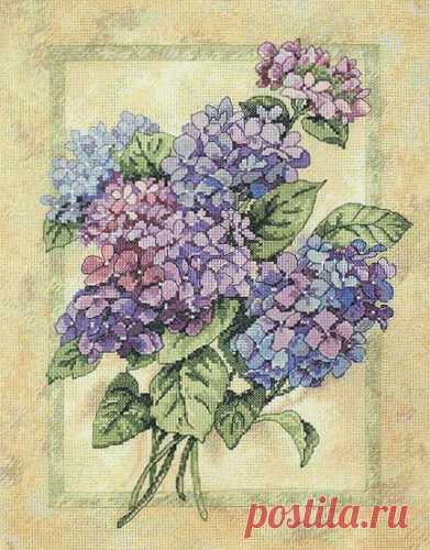 Вышивка «Elegant Hydrangeas» | Скачать схему бесплатно