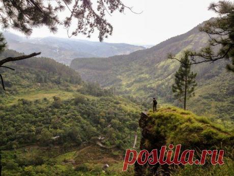 Тестируем снаряжение. Шри Ланка. Март 2015 года. / Экстремальный досуг