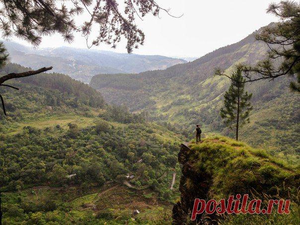 Тестируем снаряжение. Шри Ланка. Март 2015 года. / Экстремальный досуг