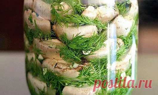 Малосольные  шампиньоны