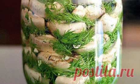 Малосольные  шампиньоны