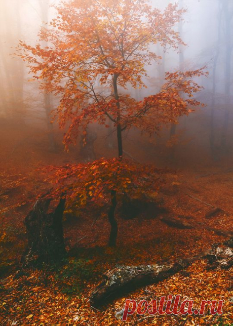 осень