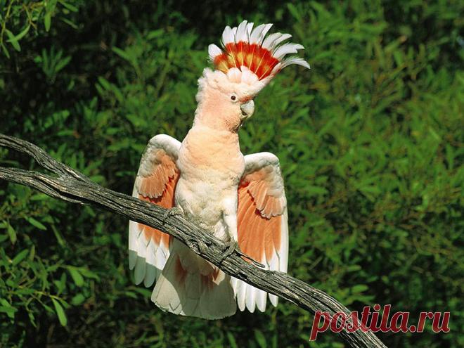 Новости - МирТесен