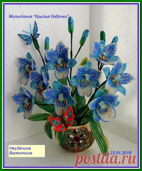 (6) Одноклассники