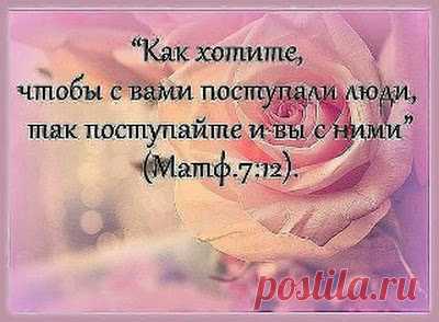 Zulya S - Google+