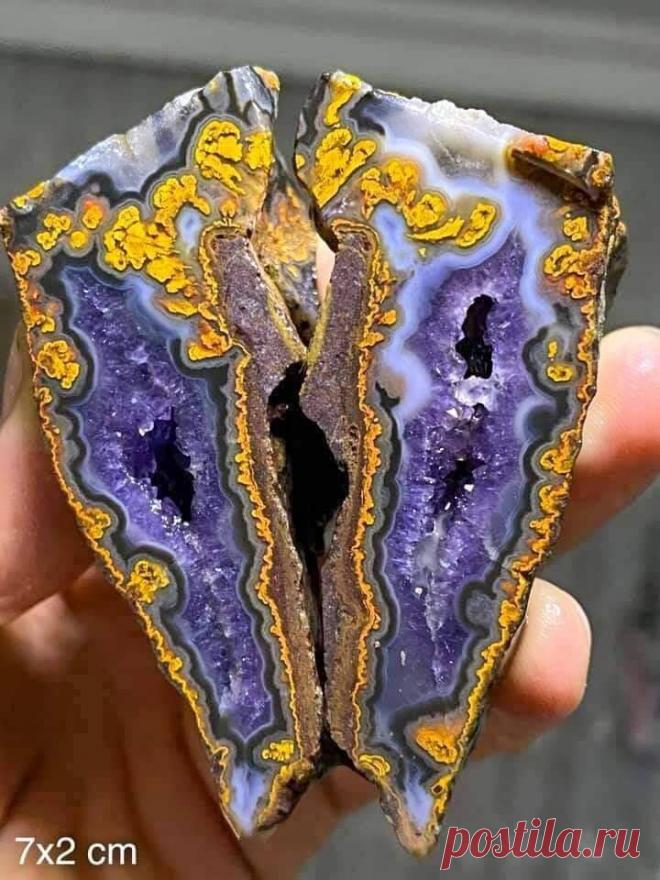 Яндекс Картинки: поиск по изображению