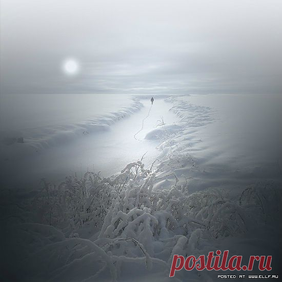 Белое одиночество