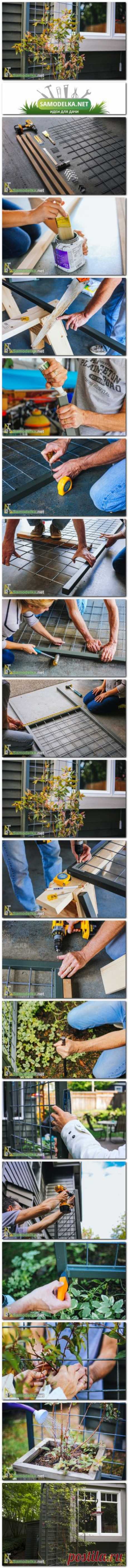 Шпалера из металлической сетки в раме | Идеи для дачи - каталог