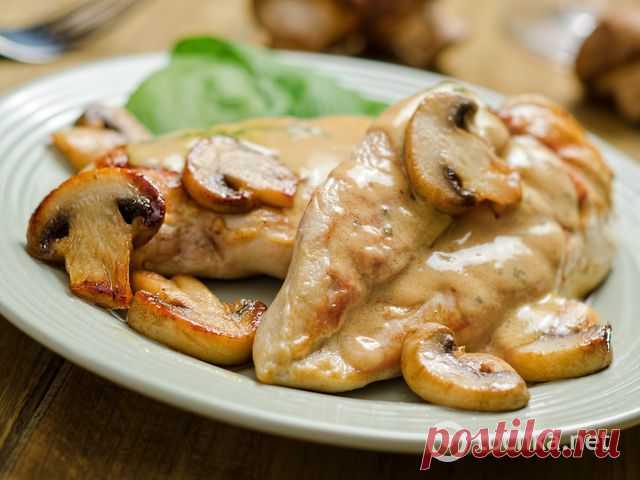 Что приготовить из куриного филе быстро и вкусно - tochka.net