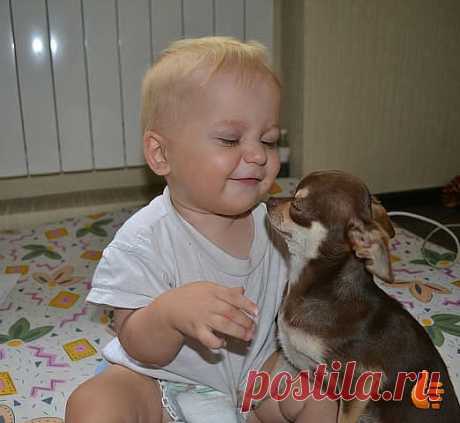 Igor Т
53 года, Россия, Moscow-Sankt-Peterburg