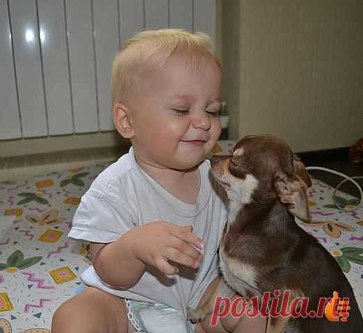 Igor Т
53 года, Россия, Moscow-Sankt-Peterburg