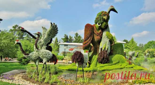 Unseen garden