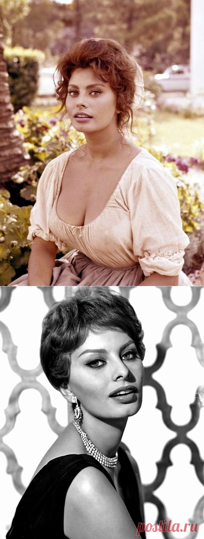 Софи Лорен в жизни и на экране в подборке лучших фотографий