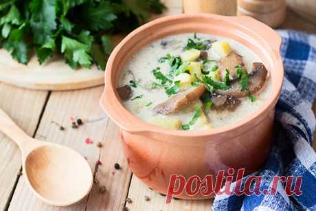 Грибные супы на любой вкус