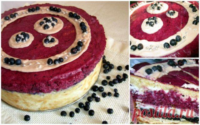 Чернично-творожный торт с маковой прослойкой - Торты и пирожные - Кулинарный форум Niksya