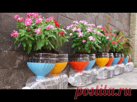 Smart idea for Plastic Bottles, Recycling Plastic bottles into Flower pots